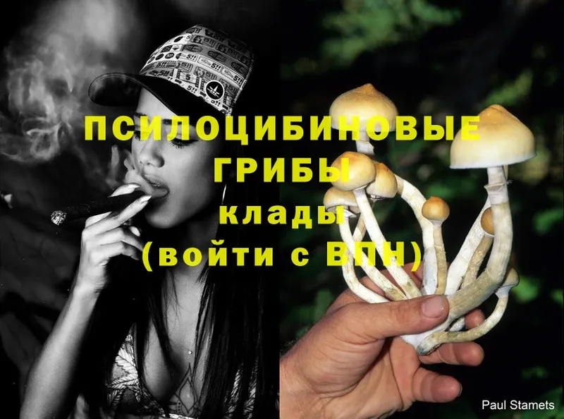 где купить наркоту  Нарткала  Псилоцибиновые грибы Psilocybine cubensis 